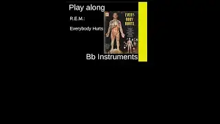 Everybody Hurts (R.E.M., 1992), B-Instrument Play along