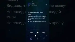 SHAMAN-Лед