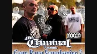 Mr  Criminal - Wicky West Side