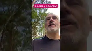 Соблюдаешь пропорцию?