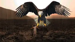 Bird and Girl 【Photoshop/AfterEffects】