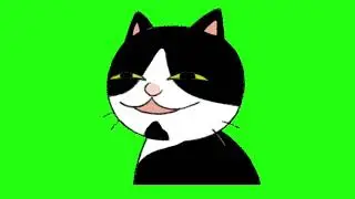 ✔️GREEN SCREEN EFFECTS: suspicious cat vibe