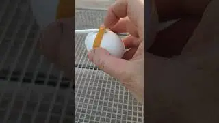 Крепление для датчика на яйцо #shorts