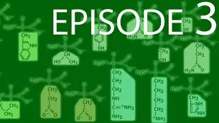 Episode 3 - Proteins