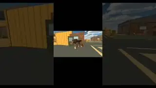 НЕ ДРАЗНИТЕ СОБАК!