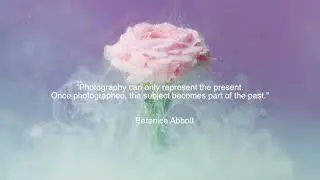 Tuesday's Quote of the Day