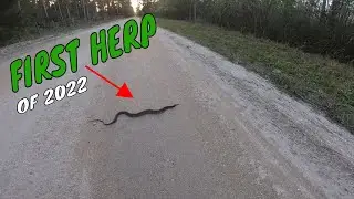 First Road Cruise of 2022 *** We found a few SNAKES