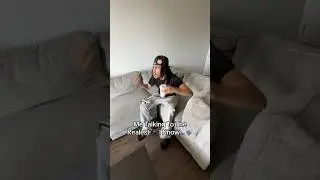 ME TALKING TO THE REALEST PERSON I KNOW BE LIKE…🤣🫵#real #comedy #funny #realvideo #ayo #sus #diddy