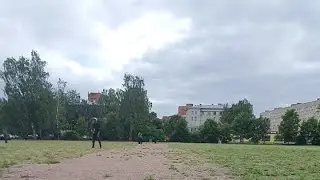 Spl