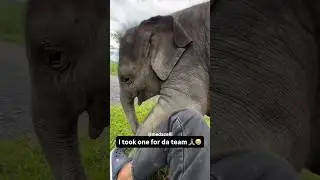 I Was Trying To Escape 🤦‍♂️