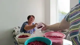 Поехали на самосбор малины.