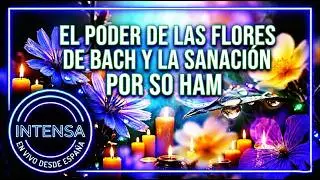 El poder oculto de las FLORES DE BACH: Saná desde el alma ✨