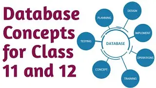 Basics of database for class 11  and 12 | database concepts for class 11 and 12 | class 12 database