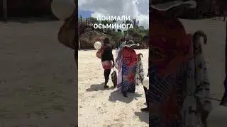 Подводная рыбалка на Занзибаре с гарпуном 
