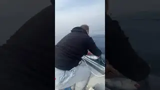 22 Kasım 2021