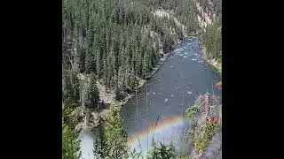 Yellowstone