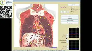 ЗА 4 МИНУТЫ работа с прибором Mageric Biotest PRO - домашний доктор в каждый дом!! Скорая помощь!!