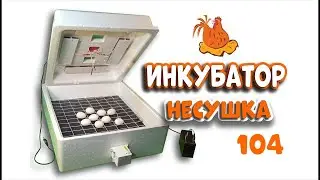 Мойка и реставрация инкубаторов Несушка 104
