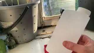Спасаюсь от жары