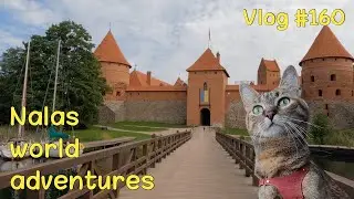 Nala cat explores Trakai castle  Vlog #160