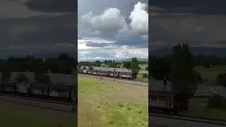 Грузовой поезд DB в Германии #shorts #railway #train #DB