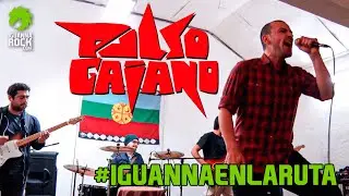 #IguannaEnLaRuta | Pulso Gaiano 🌿🌎 (agosto 2021)