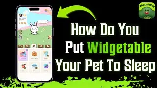 How Do You Put Your Widgetable Pet To Sleep