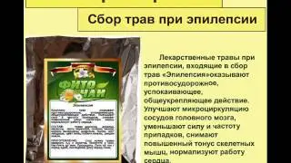 Сбор трав при эпилепсии