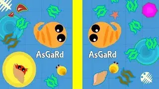 MOPE.IO EVOLUTION OF ASGARD IN IO GAME MOPEIO
