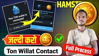 Hamster Kombat Connect Your Ton Wallet Kaise Kare | Hamster Kombat Connect Tonkeeper Full Process