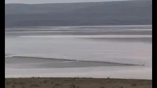 ВЛАСТИ КРЫМА ПЛАНИРУЮТ РАЗВИВАТЬ ТУРИЗМ В РАЙОНЕ ОЗЕРА ЧОКРАК