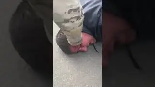 В Павлограде криминальные авторитеты избили членов теробороны: их задержали