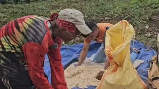 Nag-inusara sa iyang payag, ug Padayong naningkamot para makaKaon ang usa ka Lolo🥺