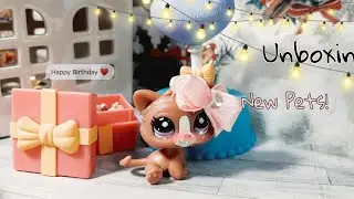 LPS: Unboxing//12 new pets//Krolik's Birthday//