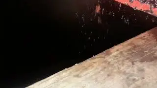 Постигаю основы виноднлия