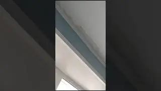Течет с потолка в квартире