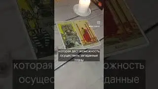 #таролог