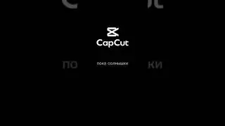 28 февраля 2024 г.