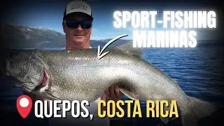 Best Things to Do in Quepos, Costa Rica (Beyond Manuel Antonio)