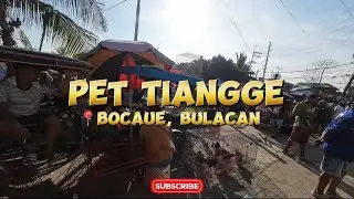 Bocaue Pet Tiangge Updated  Nov.15