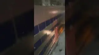 Я думал это будет быстрее, но я не знал что ждет меня впереди….
