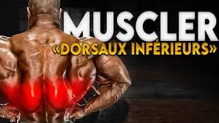 Le secret du dos en V : le bas des dorsaux