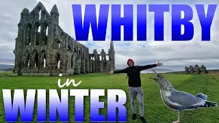STOLEN! SEAGULL STEALS ICE CREAM AS WE EXPLORE THE WONDERS OF WHITBY