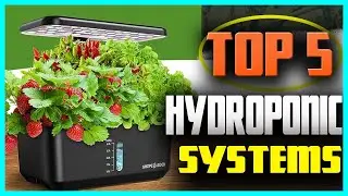 5 Best Hydroponic Systems You Can Buy In (2024)