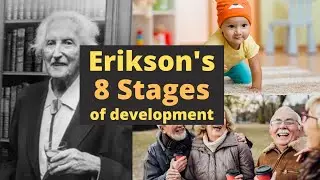Erikson's Psychosocial Theory: 8 Stages of Personality Development