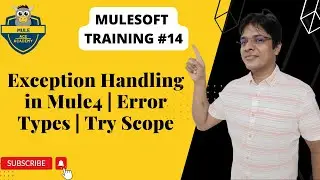 #14: Exception Handling in Mule4 | Error Types | Try Scope |  On Error Propagate | On Error Continue