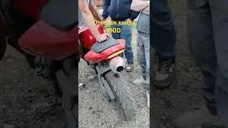 отстрел хонда 1000