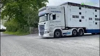 Irish Cows Exported for a UK Cutomer - Grasstec Livestock Services
