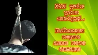 Асылып өлген ұл. 2- бөлім @Altin_bosaga