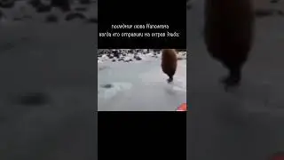 мем про Наполеона 